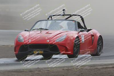 media/Jul-31-2022-Speed Ventures (Sun) [[bfb4b6530b]]/Black Group/Grapevine/
